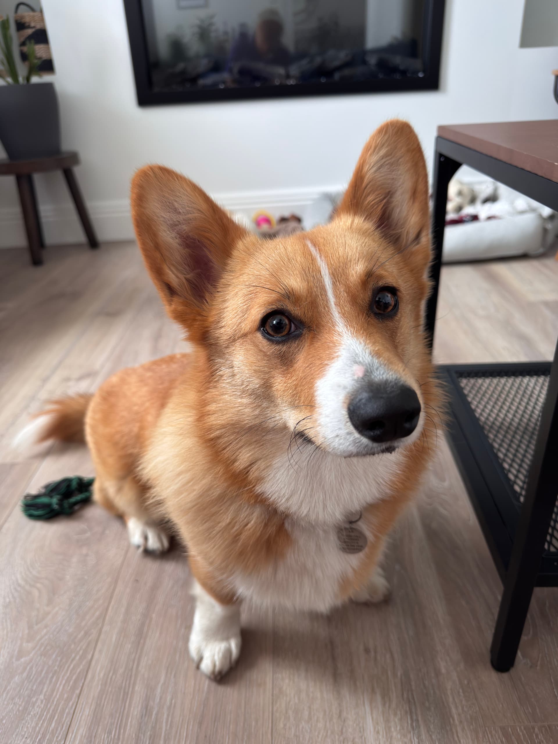 Headshot of a customer