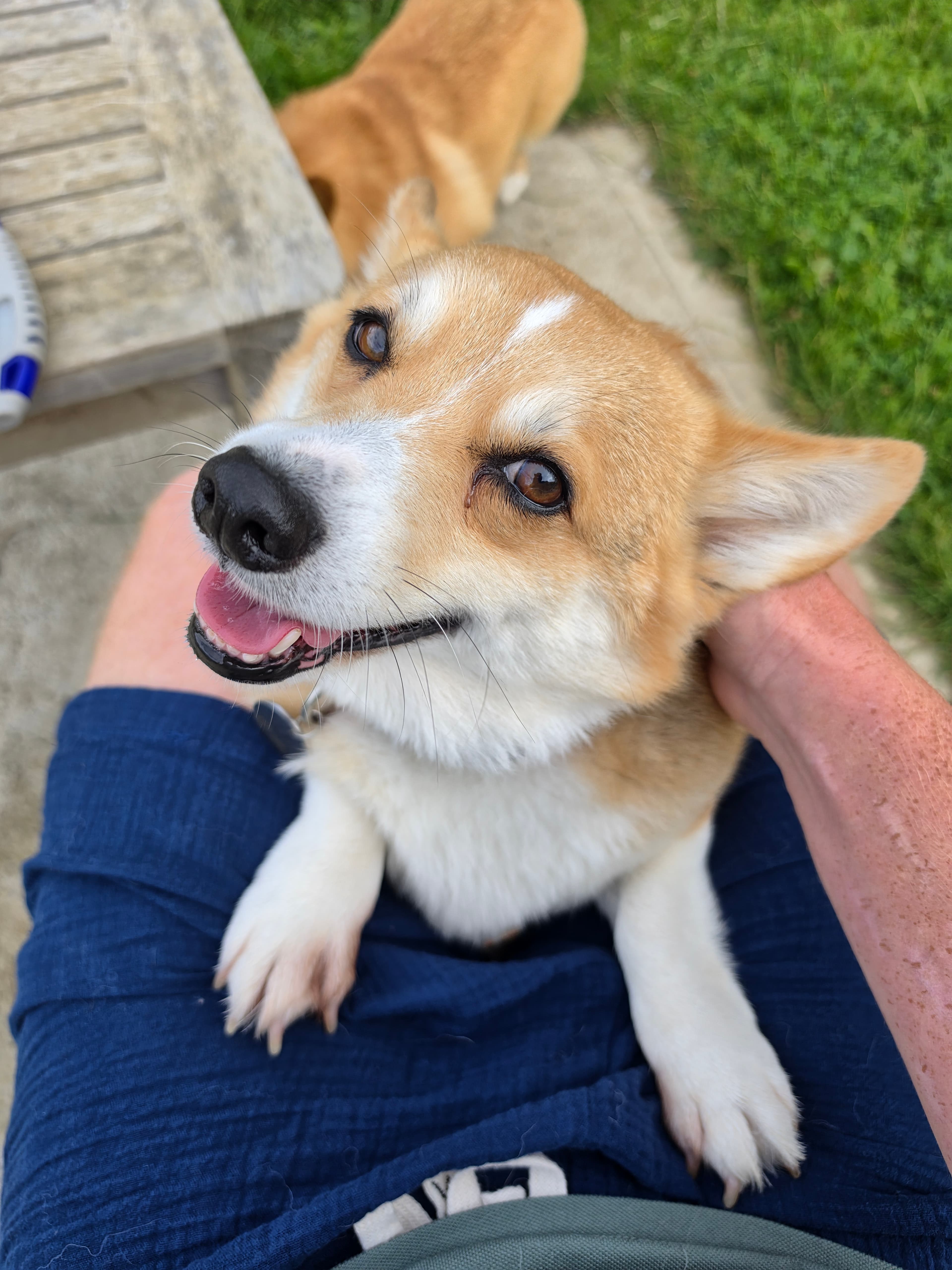 Nola relaxing during a home check-in