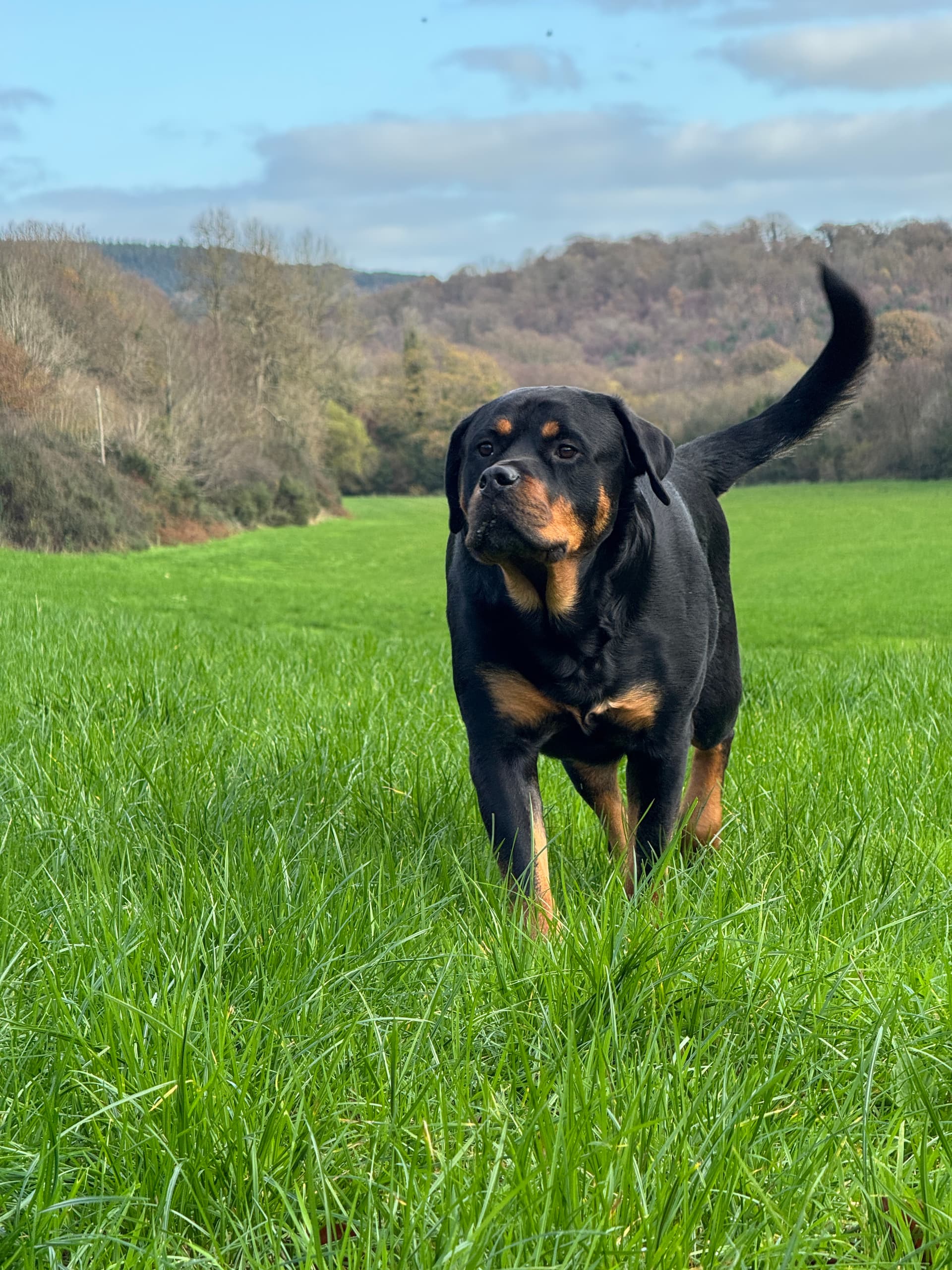 Headshot of a customer with their pet